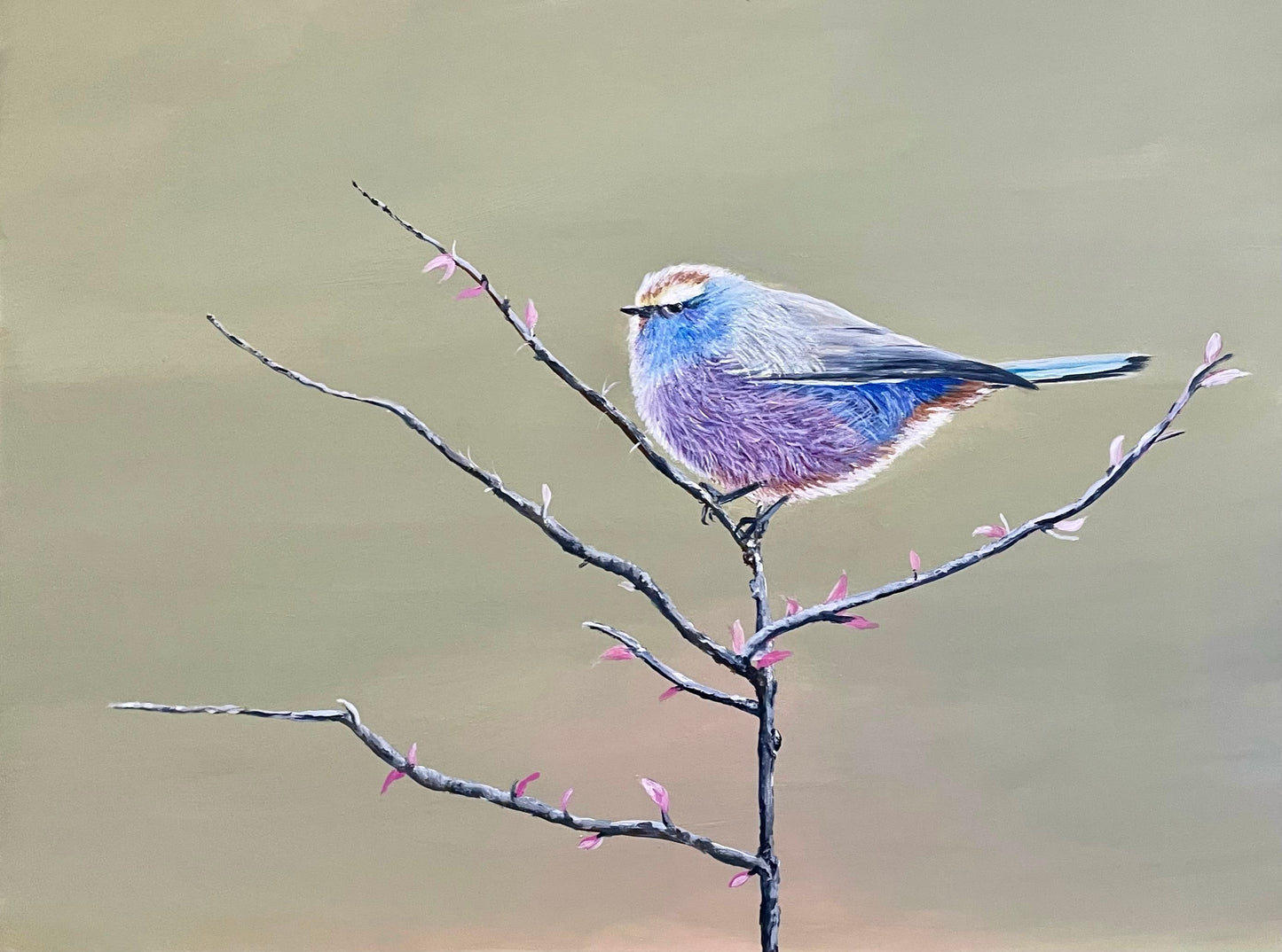 White Brow Tit Warbler print