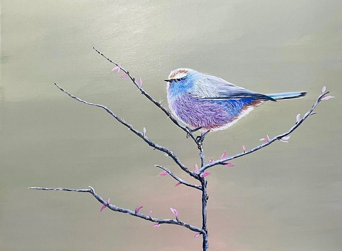 White Browed Tit Warbler